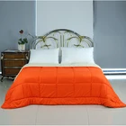Silk Quilt Mulberry Silk Filling Embossing Velvet Fabric Hotel Bed Comforters Down Quilt