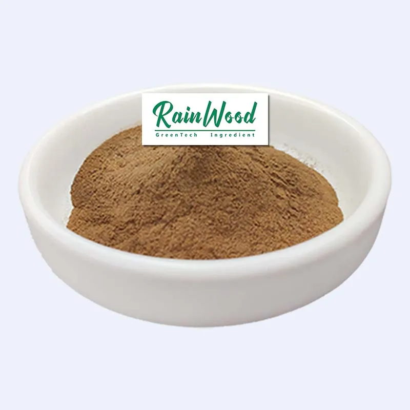 what is chinese angelica root used for