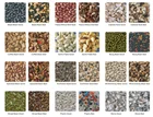 Processing Seeds Corlor Sorter Machine For Different Raw Seeds Processing Line