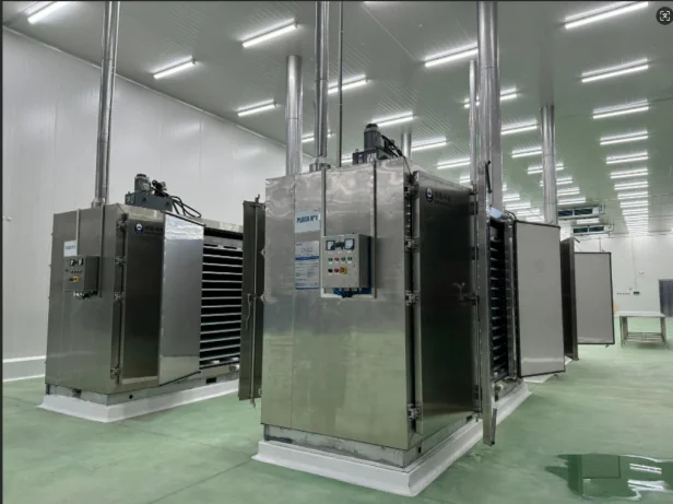 Blast Freezer, 220 V, Electric - detail 12