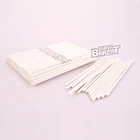 Stick Factory Custom Size Eco Friendly Recyclable Disposable Paper Lollipop Stick