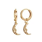 Dangle Earring Trendy Fashion Jewelry Making Hoops Gold Filled Dangle Earring Stainless Steel Zircon