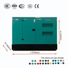Generator Copper 40KW Natural Gas Generator/LPG/ Biogas/Propane Generator Full Copper Motor With Egg Cotton Mute Box