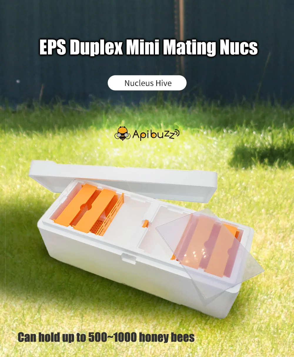 Bee Nuc Duplex Mini Mating Nucs Bee Box Polystyrene Double Queen Bee