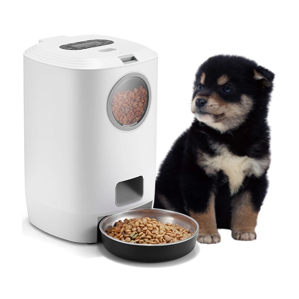 large dog auto feeder