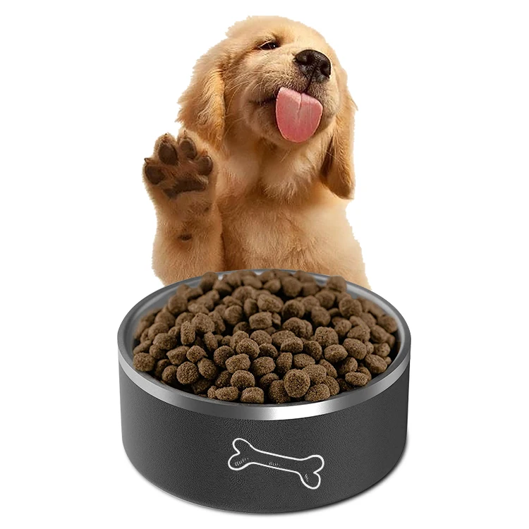 Why Does My Dog Spill His Food On The Floor