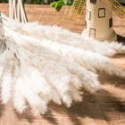 Packaging Customizati 2021 Amazon Top Sellers Dried Flower Natural Color Pampas Grass For Home Decoration