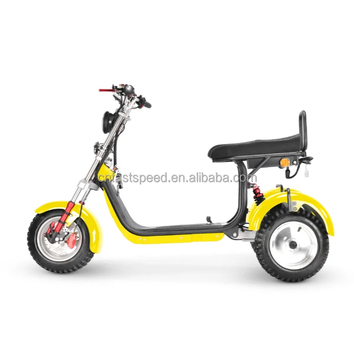 China Dual Motor W Off Road Tricycle Citycoco Europe Warehouse