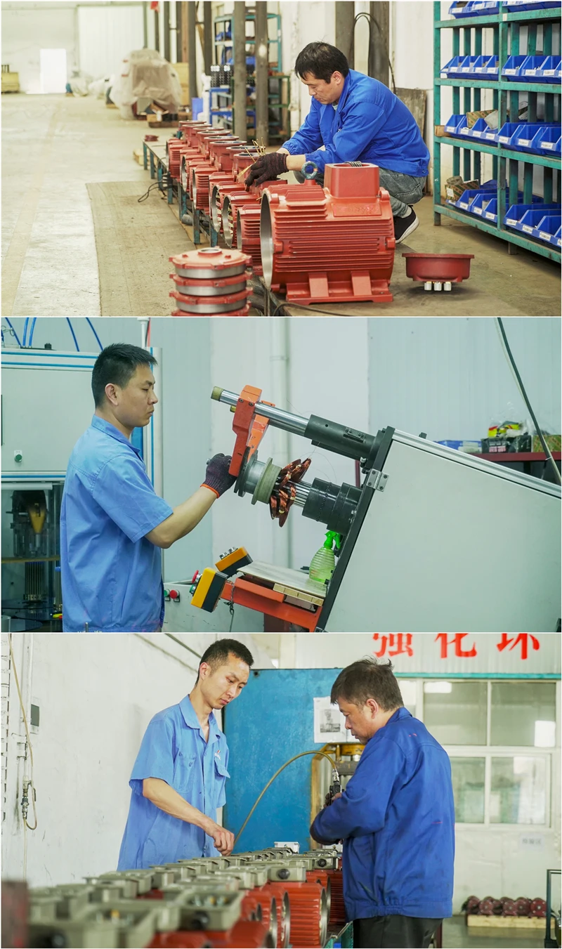 Pole Vibration Motor, Vibrating Motor - detail 22