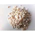Sea 2021 Wholesale Natural Crushed Sea Shell Pearl Shell Chips