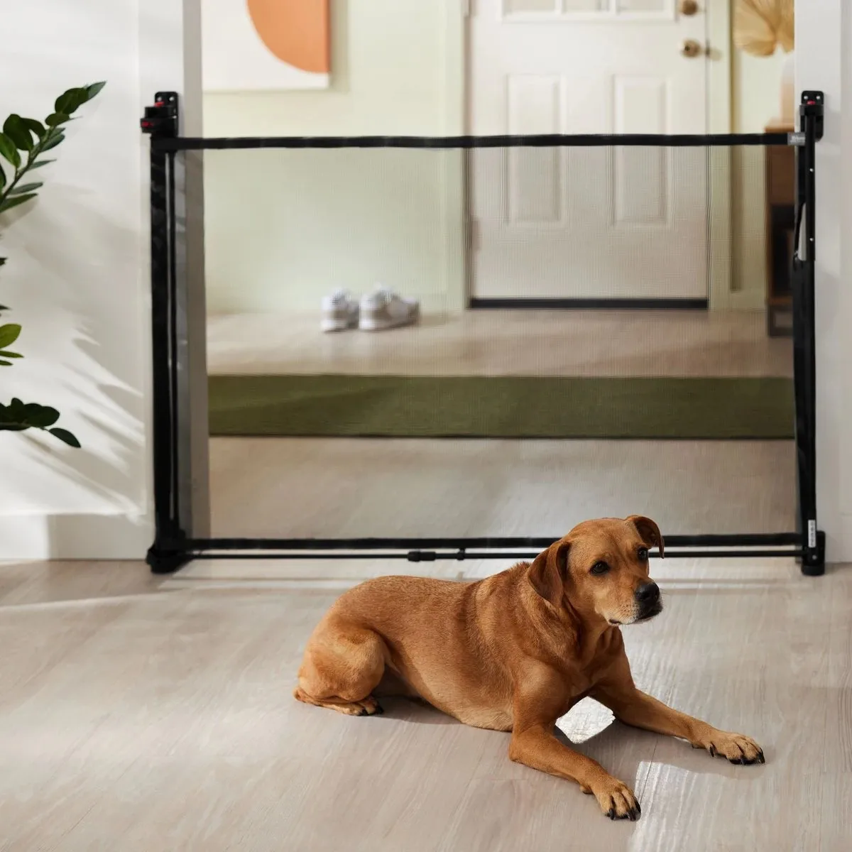 Wire Mesh Gate For Dogs at Keira Crampton blog