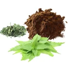 HONGJIU High Quality Herbal Extract Solvent Extraction Food Grade Urtica Dioica Extract