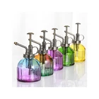 Plant Glass Fast Delivery Lightweight Fancy Flower Plant Mist Sprayer Glass Pumpkin Watering Pot