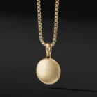 Pendant Mens Stainless Steel Gold Plated Medallion Gold Coin Pendant Men Lion Head Necklace