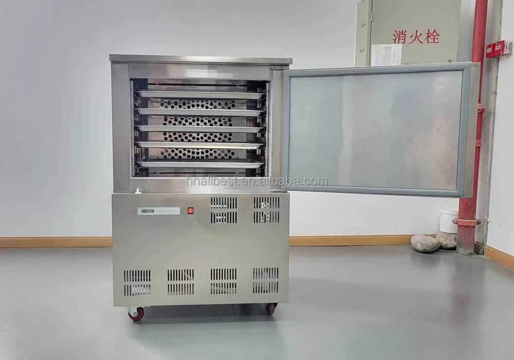 Trays Model Shock Freezer, 220V 50hz, 1200W - detail 18