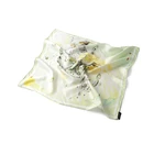 Fashion Scarf China Supplier Fashion Design Suitable For Woman Print Silk Scarf
