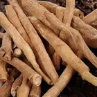 Natural 100% Natural Ashwaganda/ Withania Somnifera/ashwagandha Extract Ashwagandha Powder 10:1 20:1in Bulk