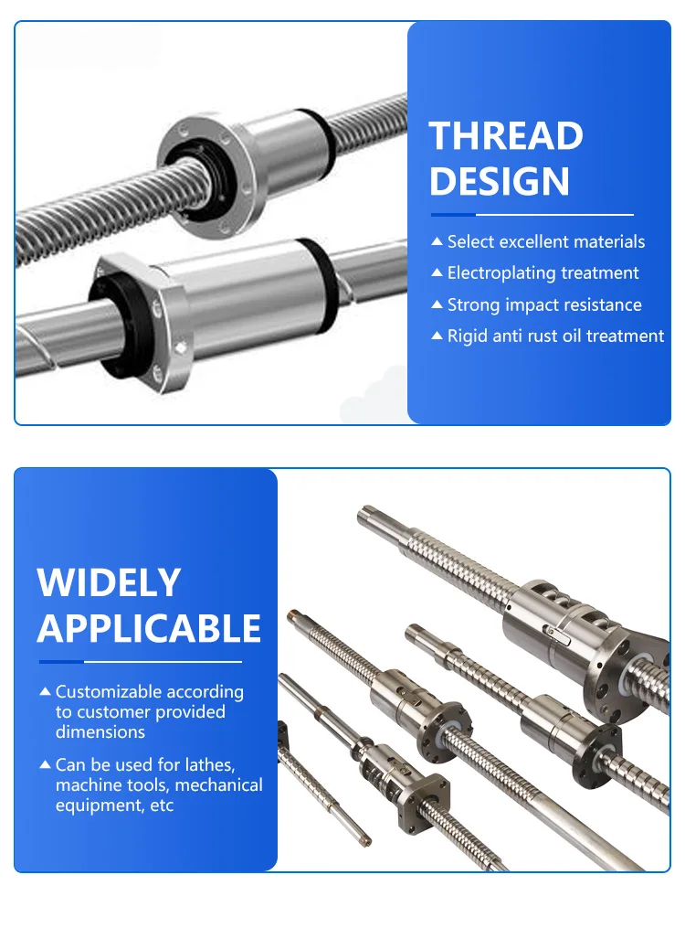 Micro Ball Screw Sfu Dfu Sfs Dfs Sfv Dfv Sf Sft Dft Sfe Sfk Linear