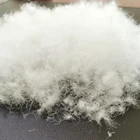 Coats Wholesale Washed 80% White Duck Down Feather For Winter Jacket Trendy Kids Double Thicken Coats