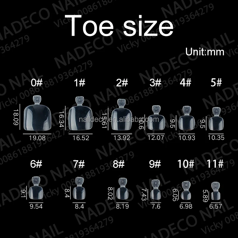 Toe nail size.jpg