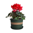 Small Wholesale Cheap Small Size Plastic Flower Pots Green Short Gallon Flower Pot Plastic Flower Pots