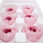 Roses DIY Real Preserved Flowers Austin Roses Box For Home Decoration And Gift