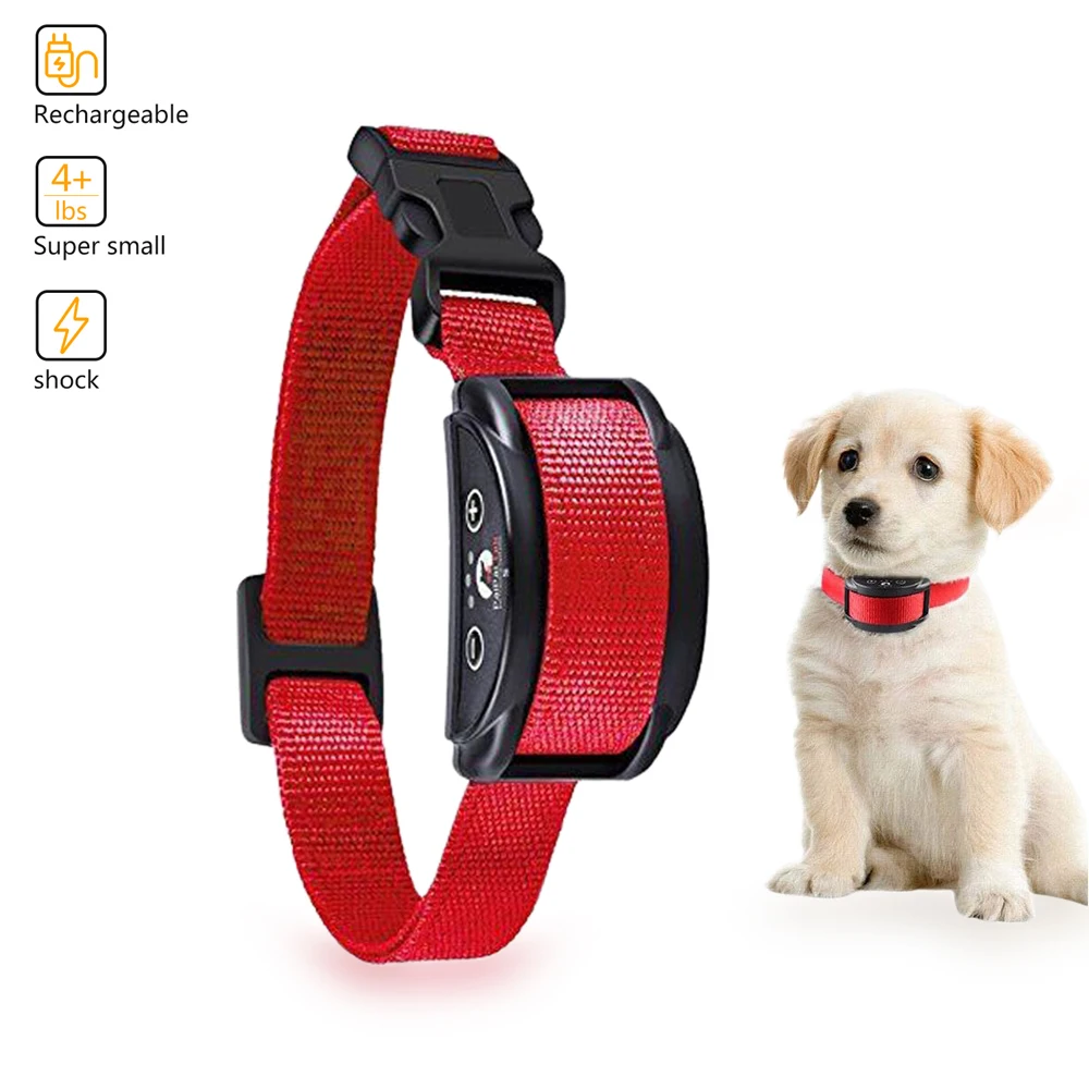 Best Dog E Collar 2020