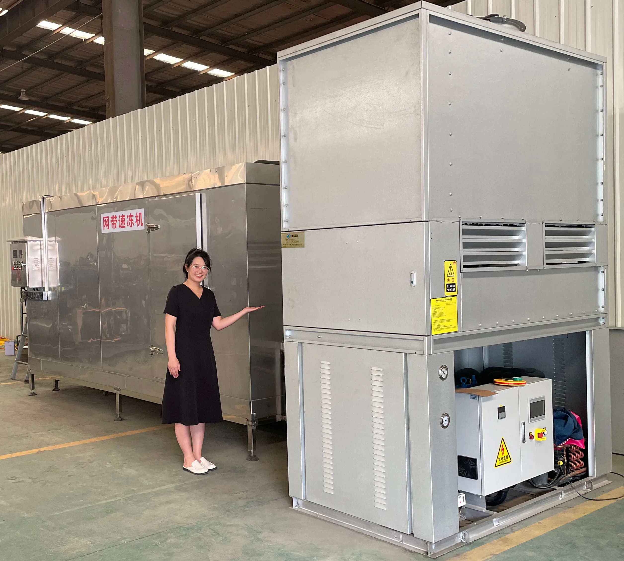 Blast Freezer, 380V - detail 22
