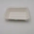 Food Packaging Pulp Bagasse Pulp/sugarcane Pulp 16oz Wholesale Biodegradable Food Packaging Sugar Cane Pulp Sushi Tray