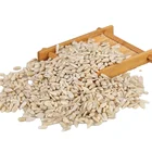 Oil Sunflower Chinese Top Quality White Confectionery Bakery Grade Oil Sunflower Seed Kernels