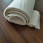Product Green Product Environment Protection Pla Pbat With Starch Vest Bag