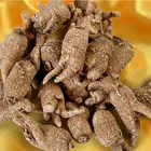 Supply China Ginseng Root Extract Wholesale Price For American Ginseng For Sale