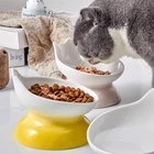 Colour Ceramic Bowls 15 Degree Tilted Cute Gradient Colour Pet Food Feeder Non-slip Dog Cat Ceramic Bowls With Elevated