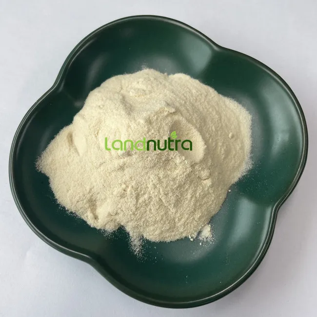 Wholesale Bulk Allicin Dehydrated Garlic Extract Powder Allicin Garlic Extract