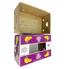 Banana Custom Printing Fruit Packaging Box Cardboard Shipping Carton Box Corrugated Banana Box