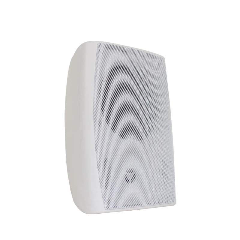 wall mount speaker amplifier