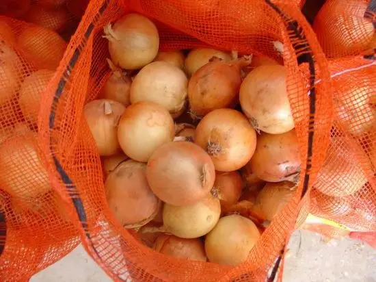 onions (19)