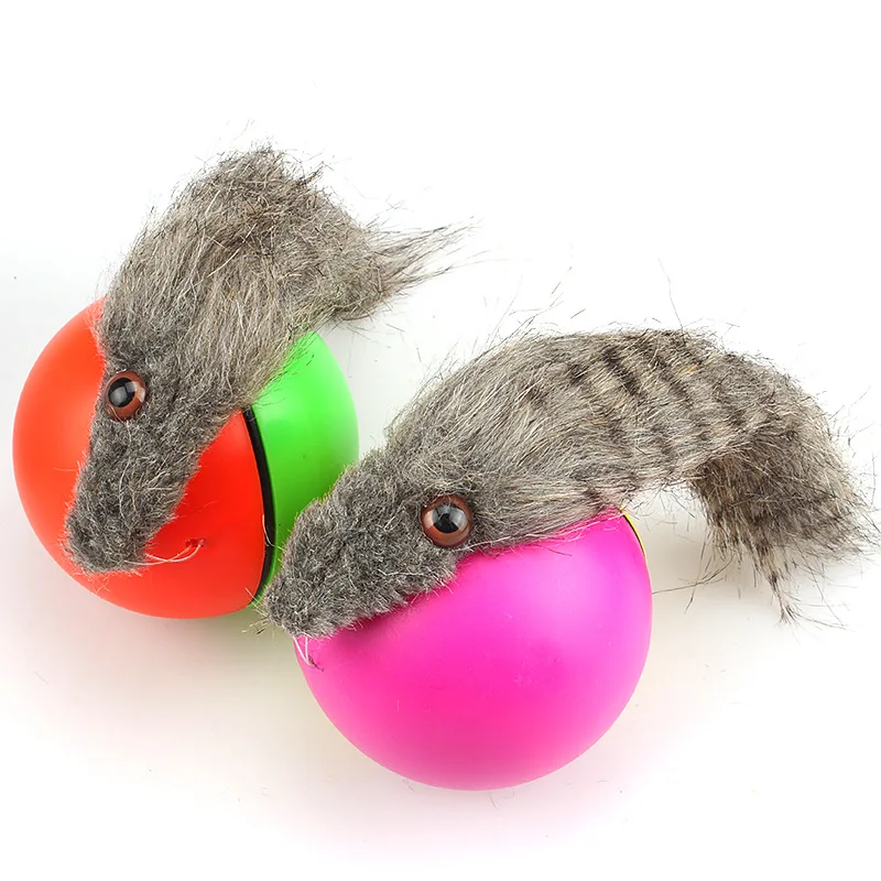 weazel ball motorized ball pet toy