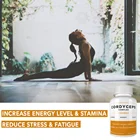Organic Herbal Organic Customize Organic Cordyceps Herbal Supplement Cordyceps Militaris Mushroom Extract Capsules
