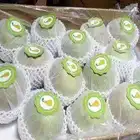 Pear 2021 New Crop Of Fresh China Ya Pear/Singo Pear/Golden Pear For Sale Asian Pear Sand Pear