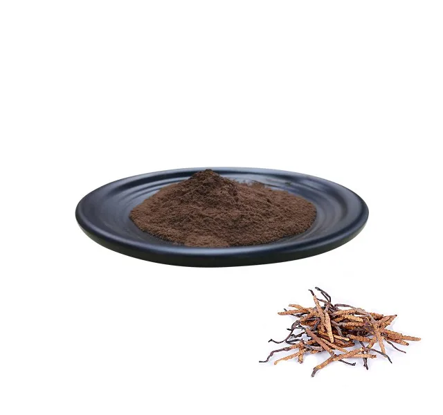 cordyceps extract 2.jpg