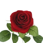 Flowers For Wedding Artificial Flowers Wedding Decor Hot Sale Single Velvet Rose Artificial Flowers For Wedding Decor