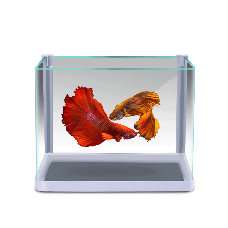 price of small fish aquarium