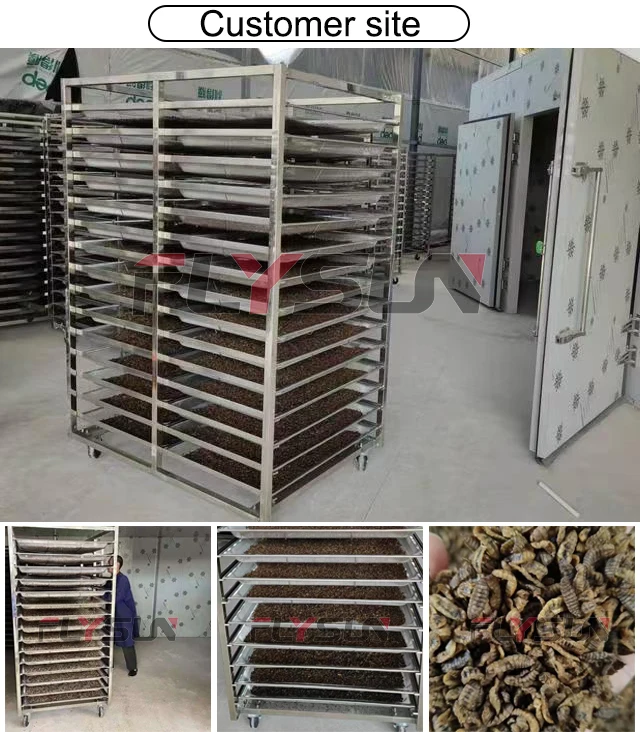 Stainless Steel Heat Pump, 220V, 0.5KW-65KW - detail 8