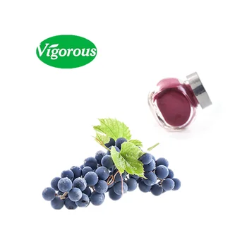 factory Natural grape seed extract 95% OPC
