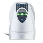 Ozone 500MG/H Water Food Sterilizer Ozonizer Ozonator Vegetable Fruit Washers Air Purifier Portable Ozone Generators