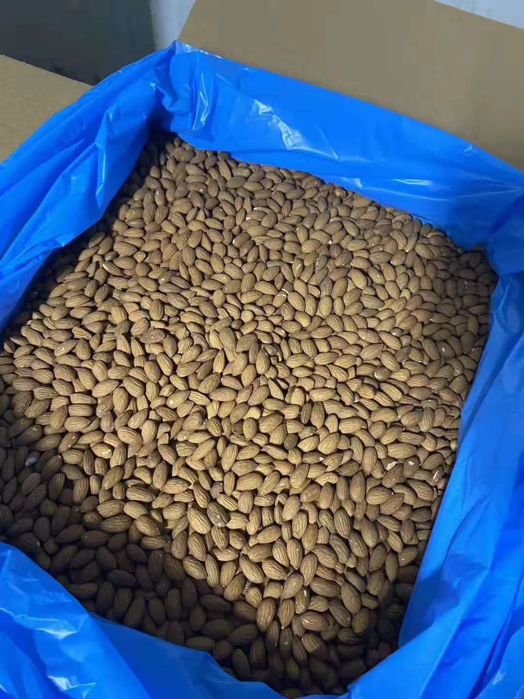 Organic Unshelled Roasted Almonds Freshly Picked Sweet Almond Nuts Hot Sale Food Grade Bulk Export Raw Almonds Natural Color