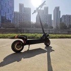 1000w 2000w Electric Scooter Popular 10 Inch 1000w 2000w Outdoor Electric Scooter Adult Suspension Off Road