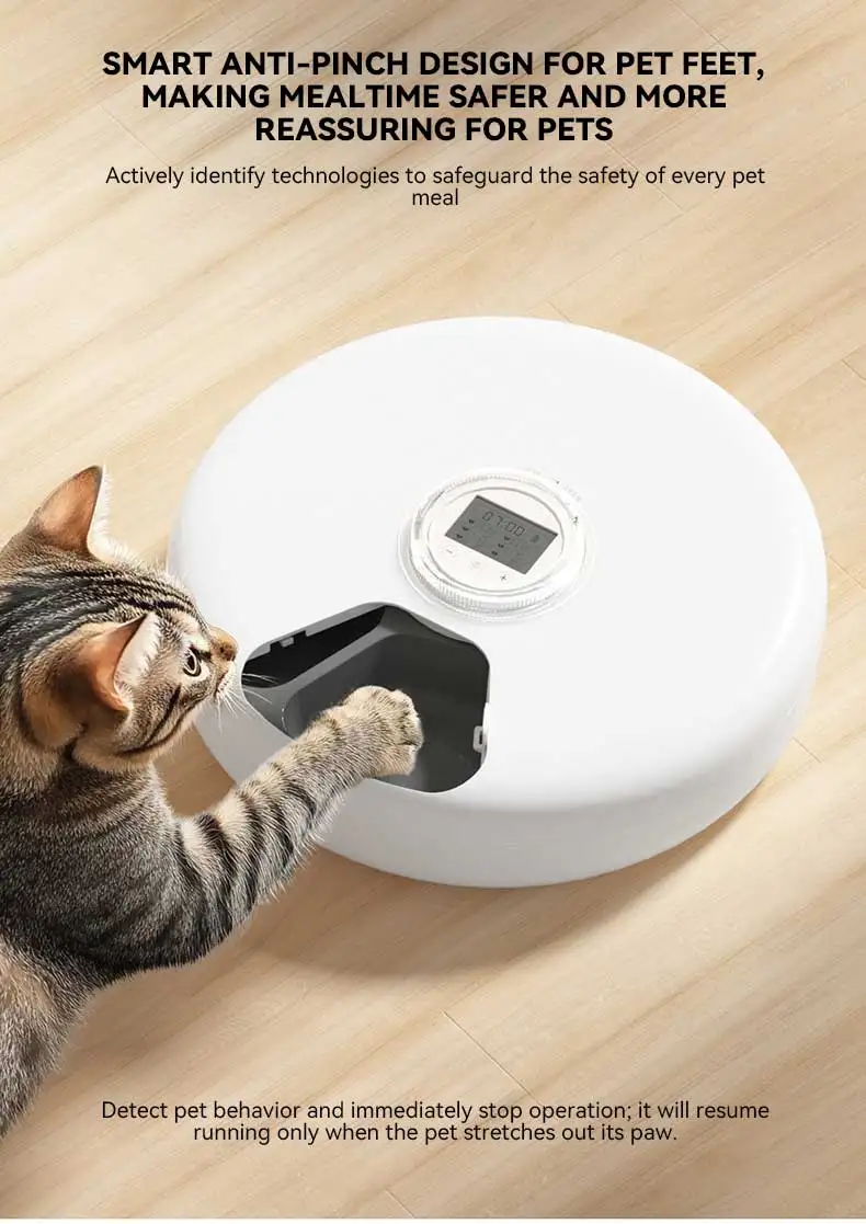 Hot Sale 6 Meal Pet Smart Feeder 24H Timing Cold Fresh Food Dispenser for Dogs and Cats Automatic Pet Feeding Supplies manufacture