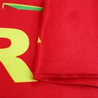 Scarf Polyester Scarf High Quality Custom Making Polyester Material 1 Piece MOQ Scarf With Tassel Eritrea Flag Scarf